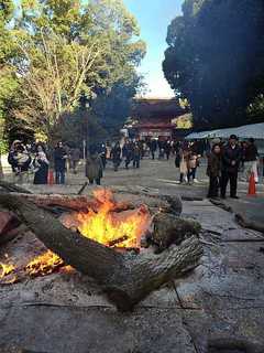 2015shimojin.jpg